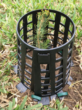 Load image into Gallery viewer, Plant Knight Black 24-Pack