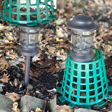 Load image into Gallery viewer, Plant Knight Green 3-Pack