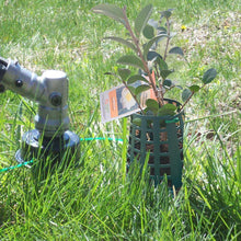 Load image into Gallery viewer, Plant Knight Green 3-Pack