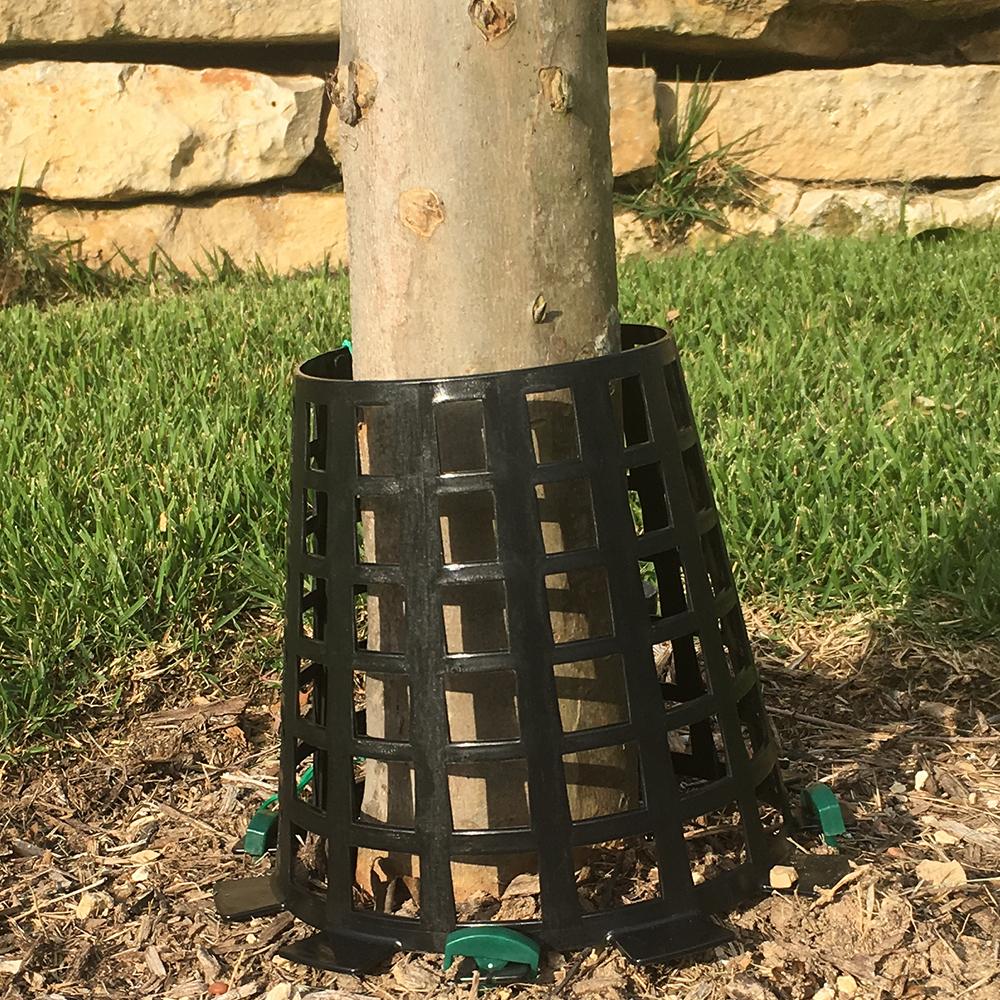 Plant Knight Green 3-Pack