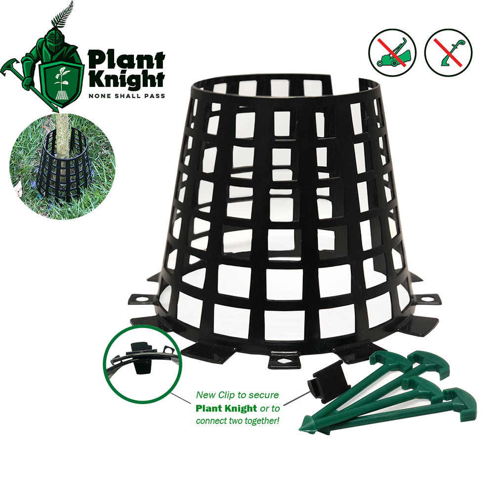 Plant Knight Black 6-Pack